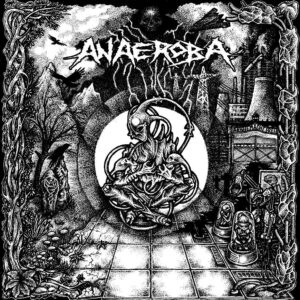 ANAEROBA - Over The Walls And Borders LP