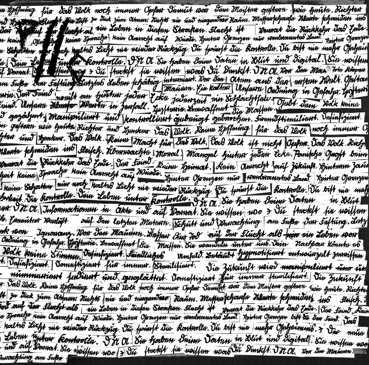 PIG//CONTROL - Vor den Mauern LP