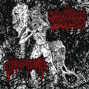 CADAVERIC INCUBATOR / HEMORRHOID split 7"EP