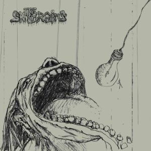 SHITBRAINS / EXORBITANT PRICES MUST DIMINISH split LP