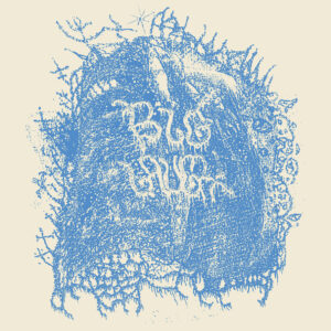 BIG LAUGH - Days of Disarray LP