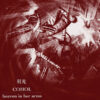 COHOL / HEAVEN IN HER ARMS split LP