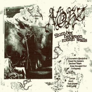NOHZ - Slumber between rotten walls LP NOHZ - Slumber between rotten walls LP