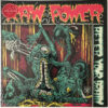 RAW POWER - After Your Brain LP