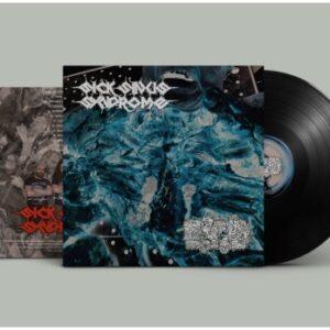 SICK SINUS SYNDROME / EAT THE DECAY split LP SICK SINUS SYNDROME / EAT THE DECAY split LP