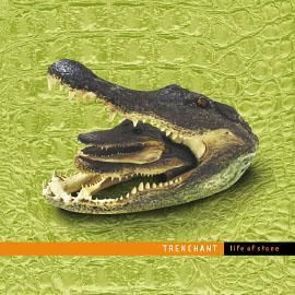 TRENCHANT - Life of stone 10"LP TRENCHANT - Life of stone 10"LP